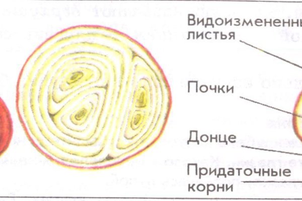 Solaris site