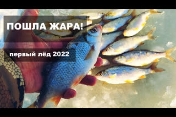 Кракен даркнет поддержка