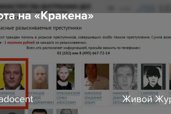 Ссылка кракен сегодня