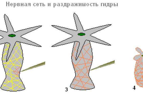 Ошибка на кракене