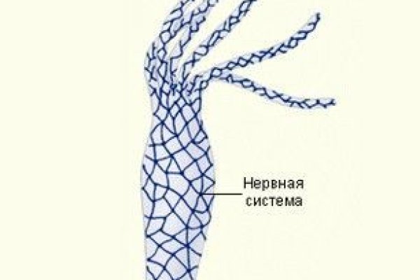 Услуги даркнета